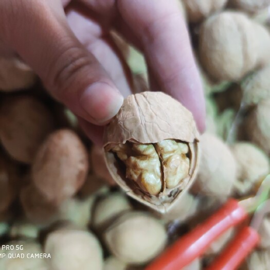 中牟县新疆薄皮核桃已全部筛选过空壳，质量好。