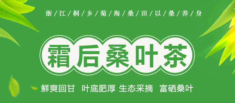 河南省淅川县正品特级霜后桑叶茶礼盒装