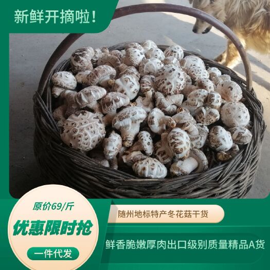随县冬菇冬花菇出口质量可以和香港楼上正品相媲美包邮批零一件代发