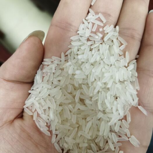 吉水县大米  江西泰优398精米