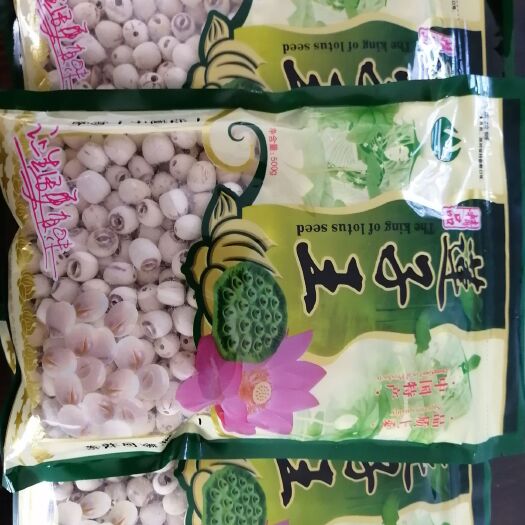 资兴市白莲子 莲子王