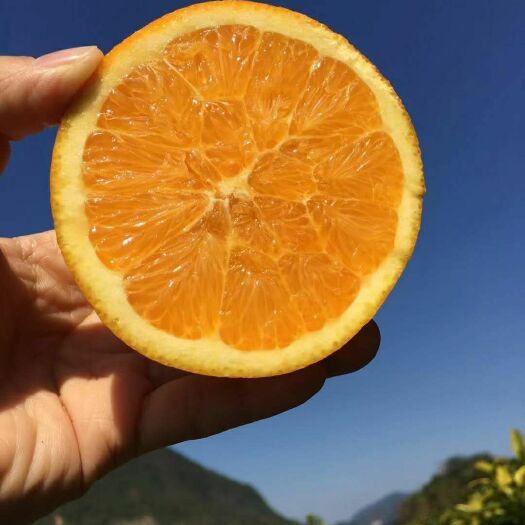 龙山县里耶脐橙 二级果 