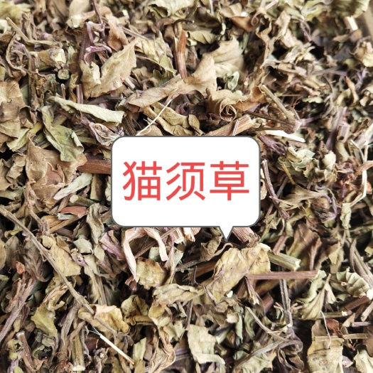 玉林【大货供应】猫须草肾茶化石茶新鲜中药材