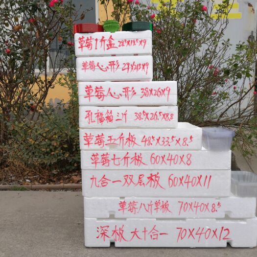 淄博 草莓包装泡沫箱系列