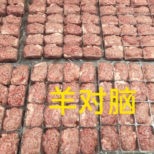 大厂县羊脑  羊对脑