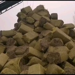 阜城县 大量供应玉米秸秆干草块
