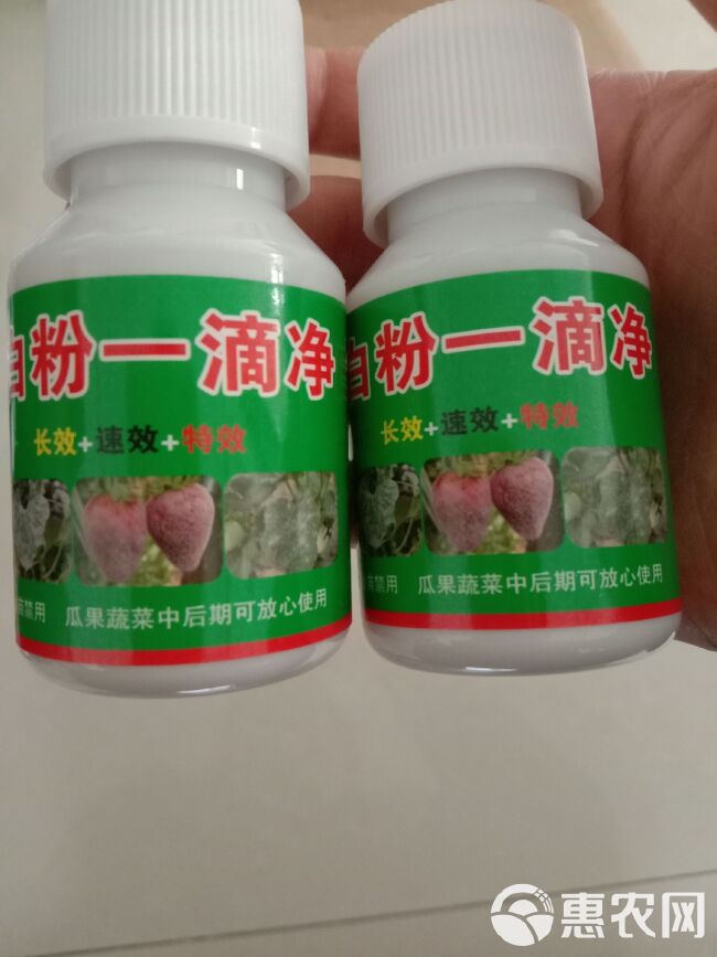 复合肥  白粉一滴净  不用打药，简单省事，清除顽固白粉