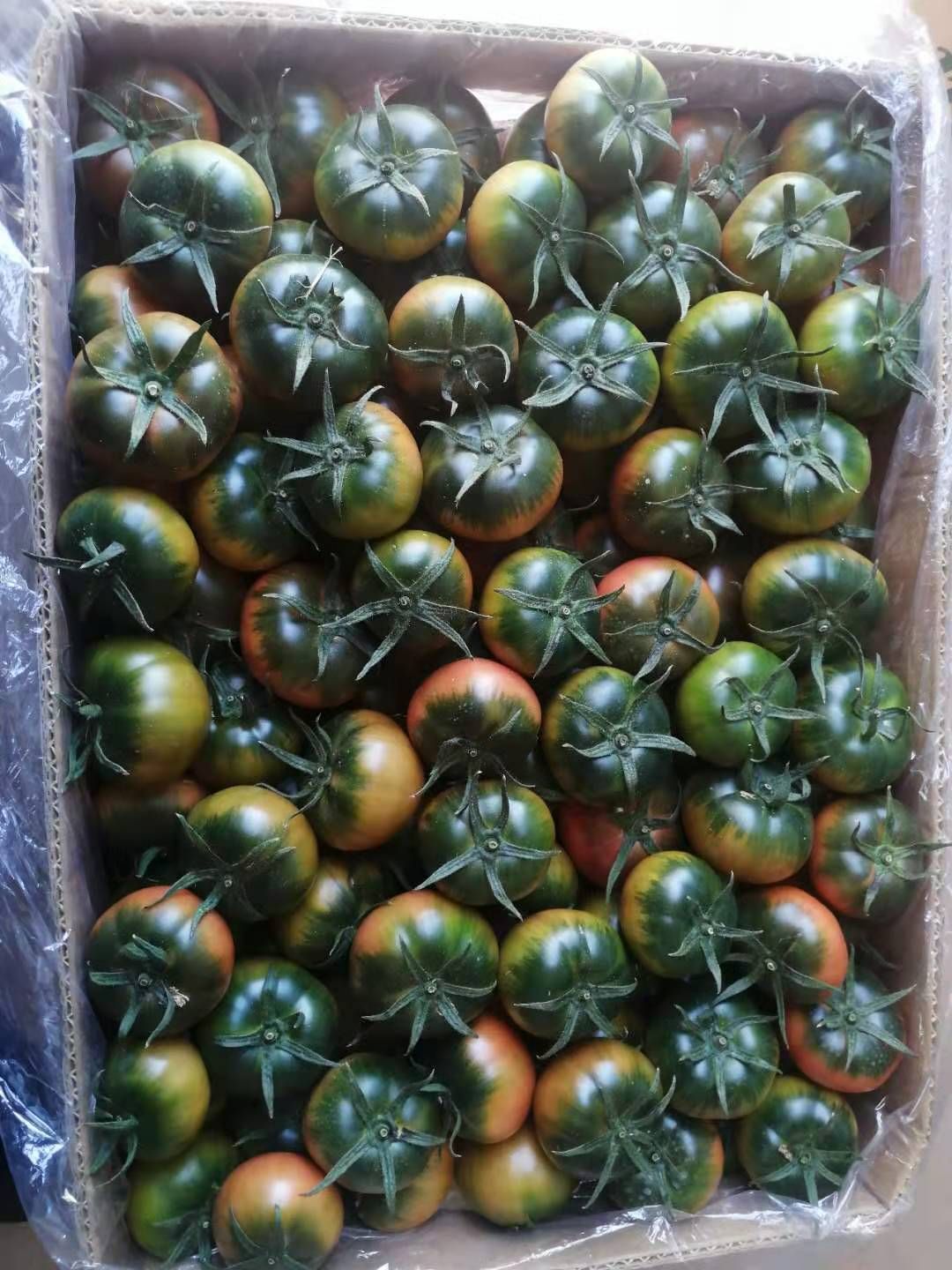 铁柿子最大的优点就是口感好