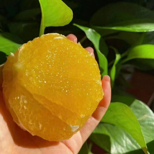 资兴市东江湖脐橙，不催熟不打蜡，富含有多种维生素矿物质，好吃不上火