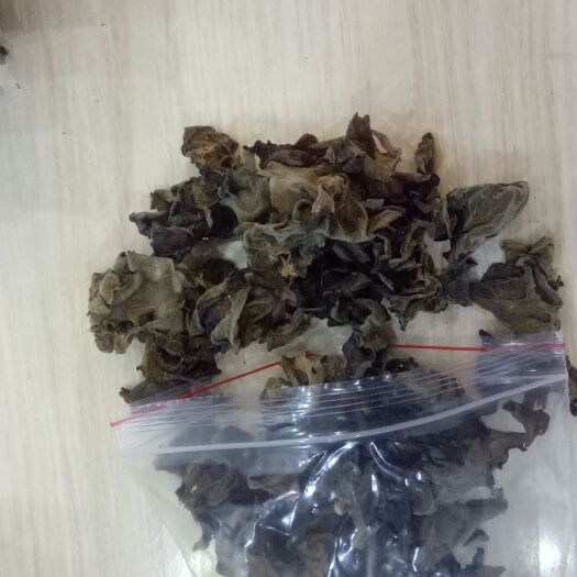 宁强县黑木耳    椴木黑木耳天然生长健康放心食材