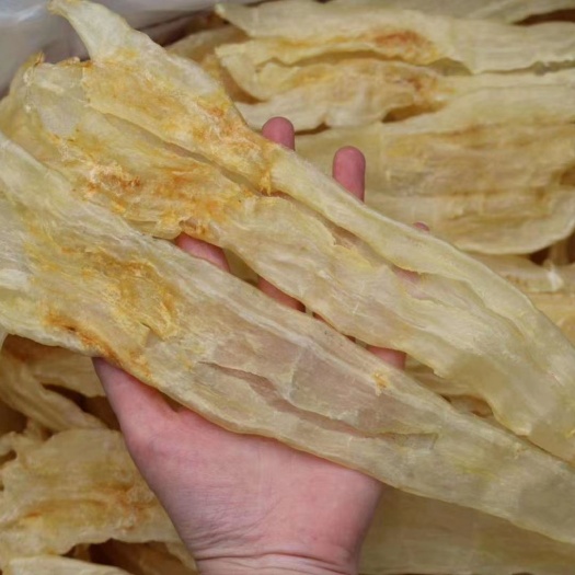 广州鱼鳔  鱼胶大量批发北海阴阳条足干阴阳肚鳘鱼胶12头孕妇孕期