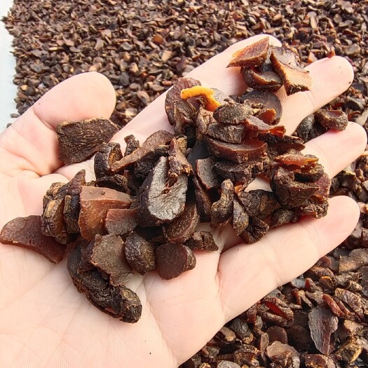 池州 九蒸九晒黄精片，黄精茶