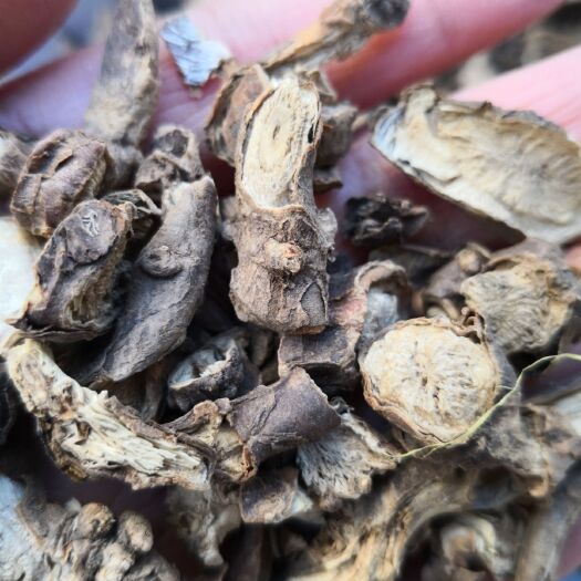 墓头回 干货切片 自然生长含量高 量大从优