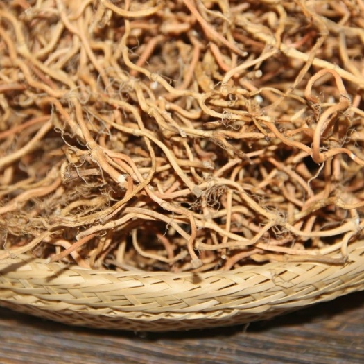 当阳市鱼腥草根  鱼腥草折耳根干根产地直销量大从优自家种植