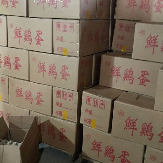 海城市 鲜鸡蛋
