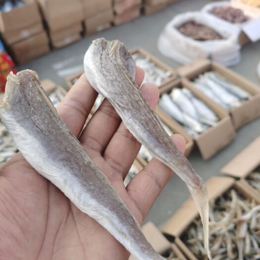 滨州皮棍鱼咸鱼