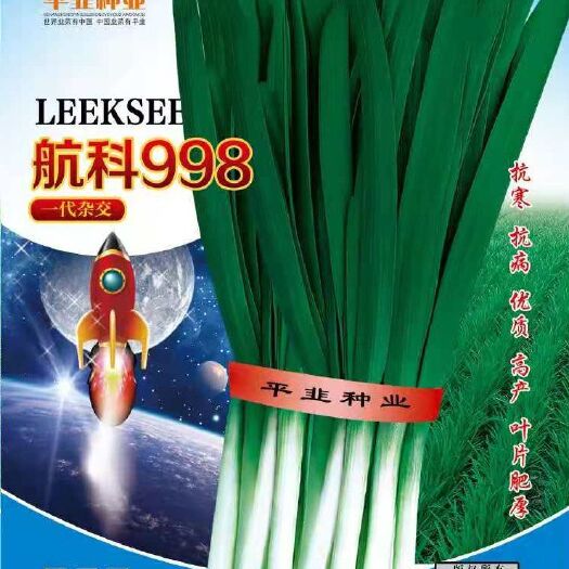 平顶山韭菜种子  航科998新品宽叶大条韭菜籽纯度高四季大棚不休