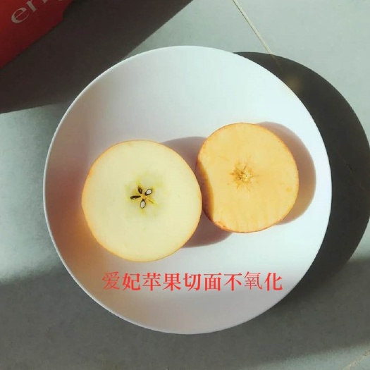 泰安2年嫁接成品 爱妃苹果苗中晚熟品种口感香甜