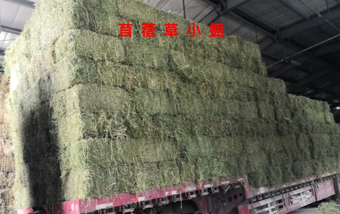 干草  宝发农牧草料，自己公司种植加工研发一体，天然无农药