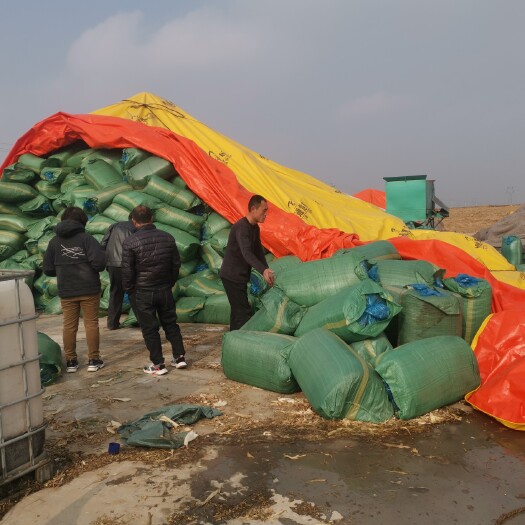 阜城县 发酵玉米秸秆
