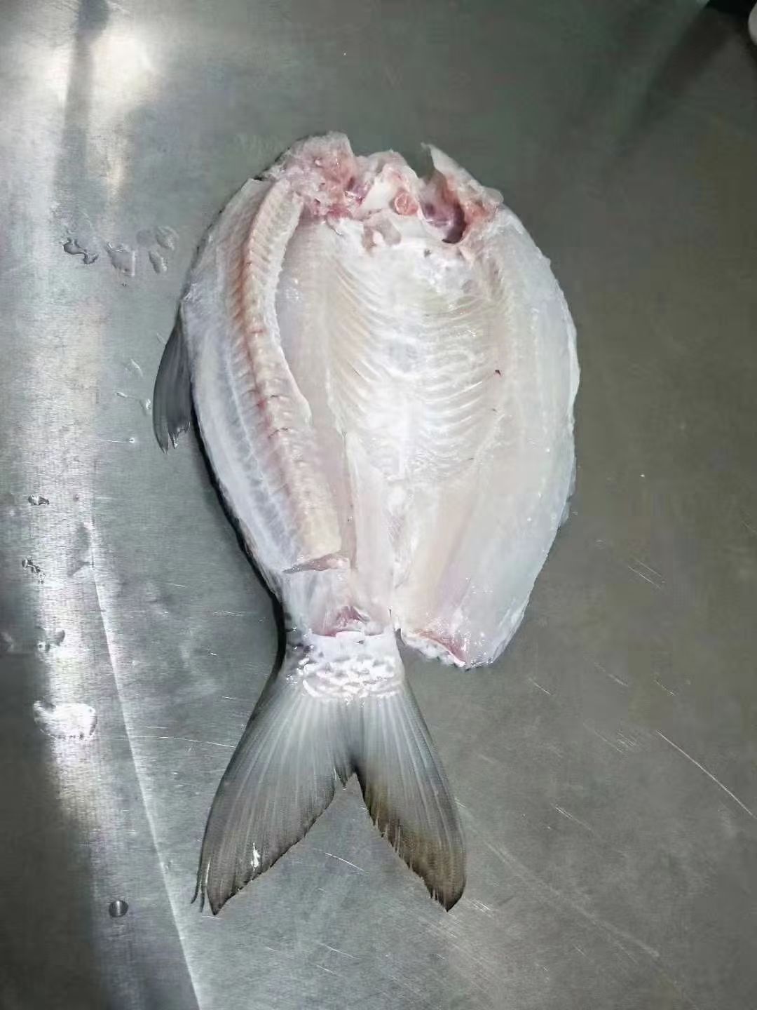 苏丹鱼   美味佳肴