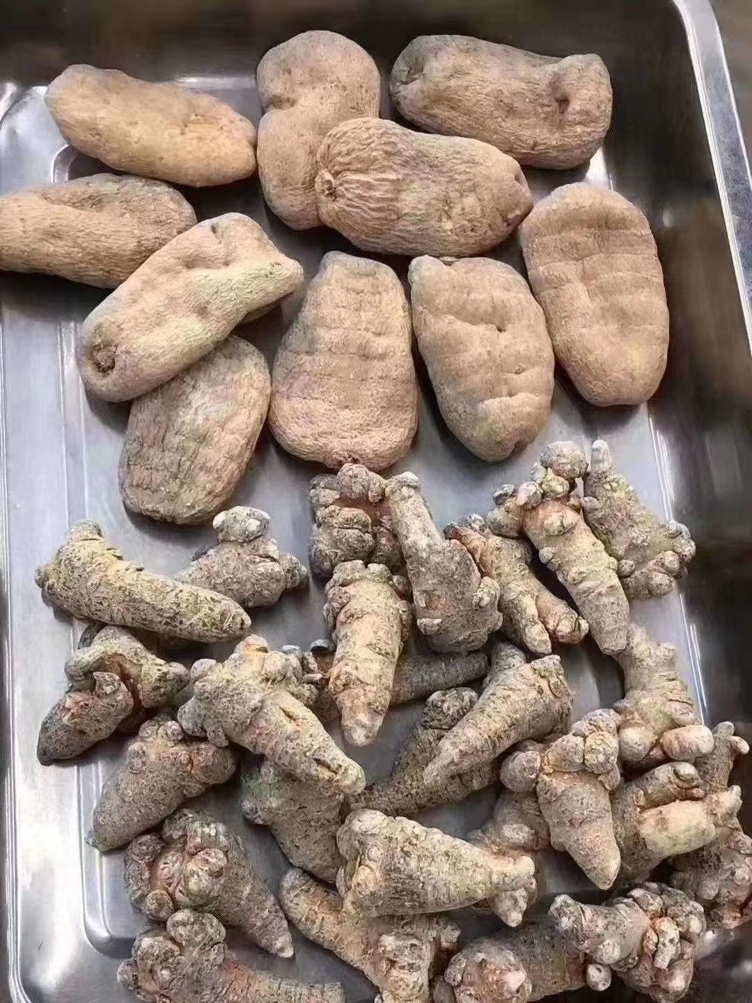 天麻 云南特产小草坝天麻