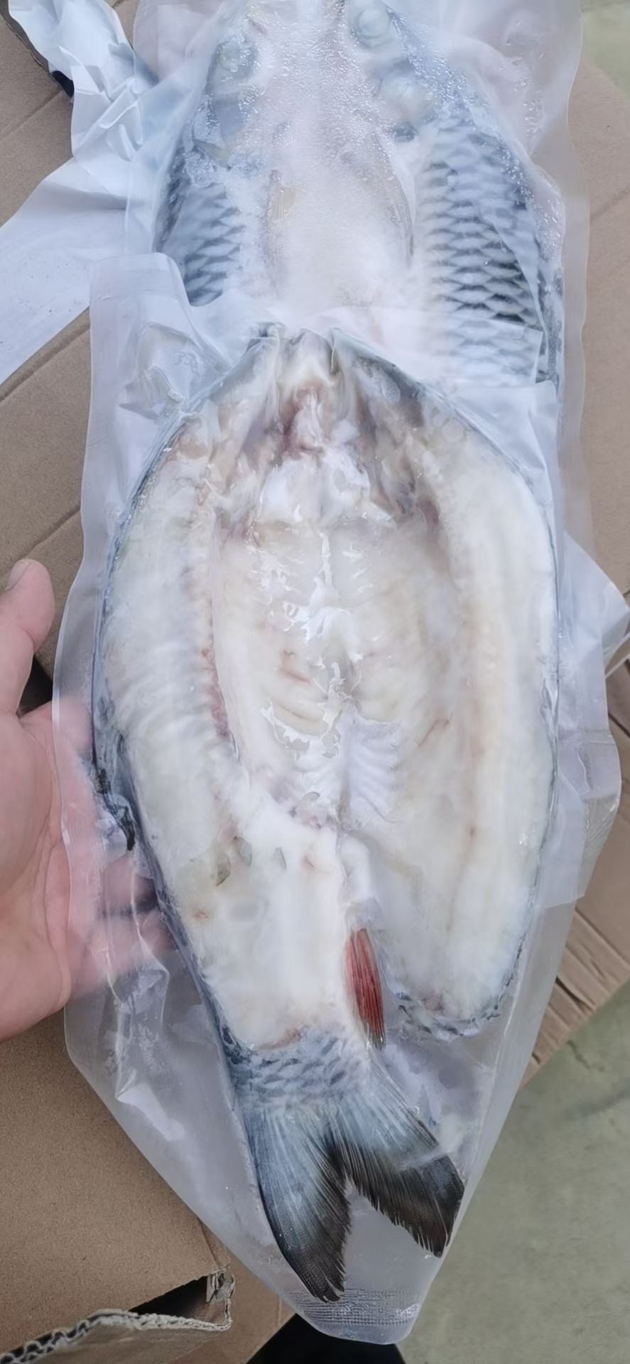 苏丹鱼   美味佳肴