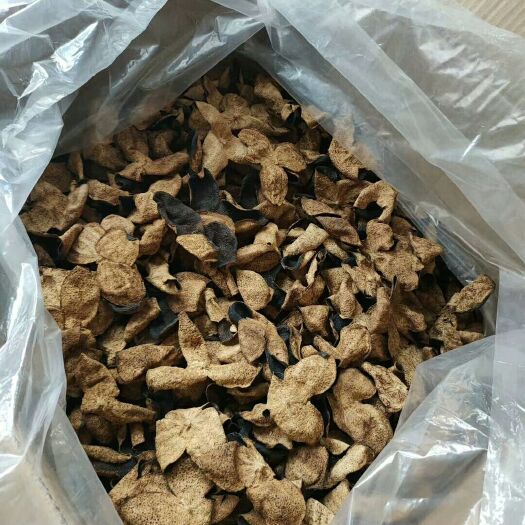 佛山老陈皮