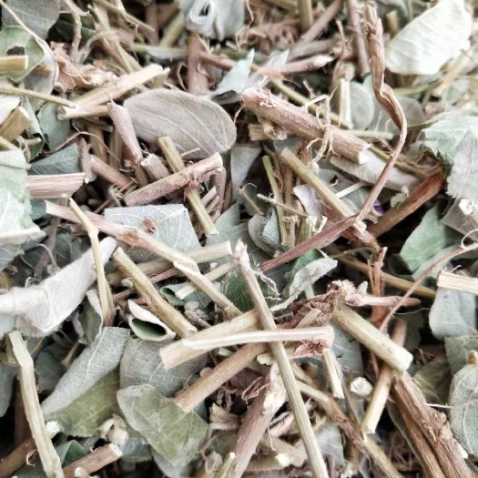 玉林【大货供应】广金钱草