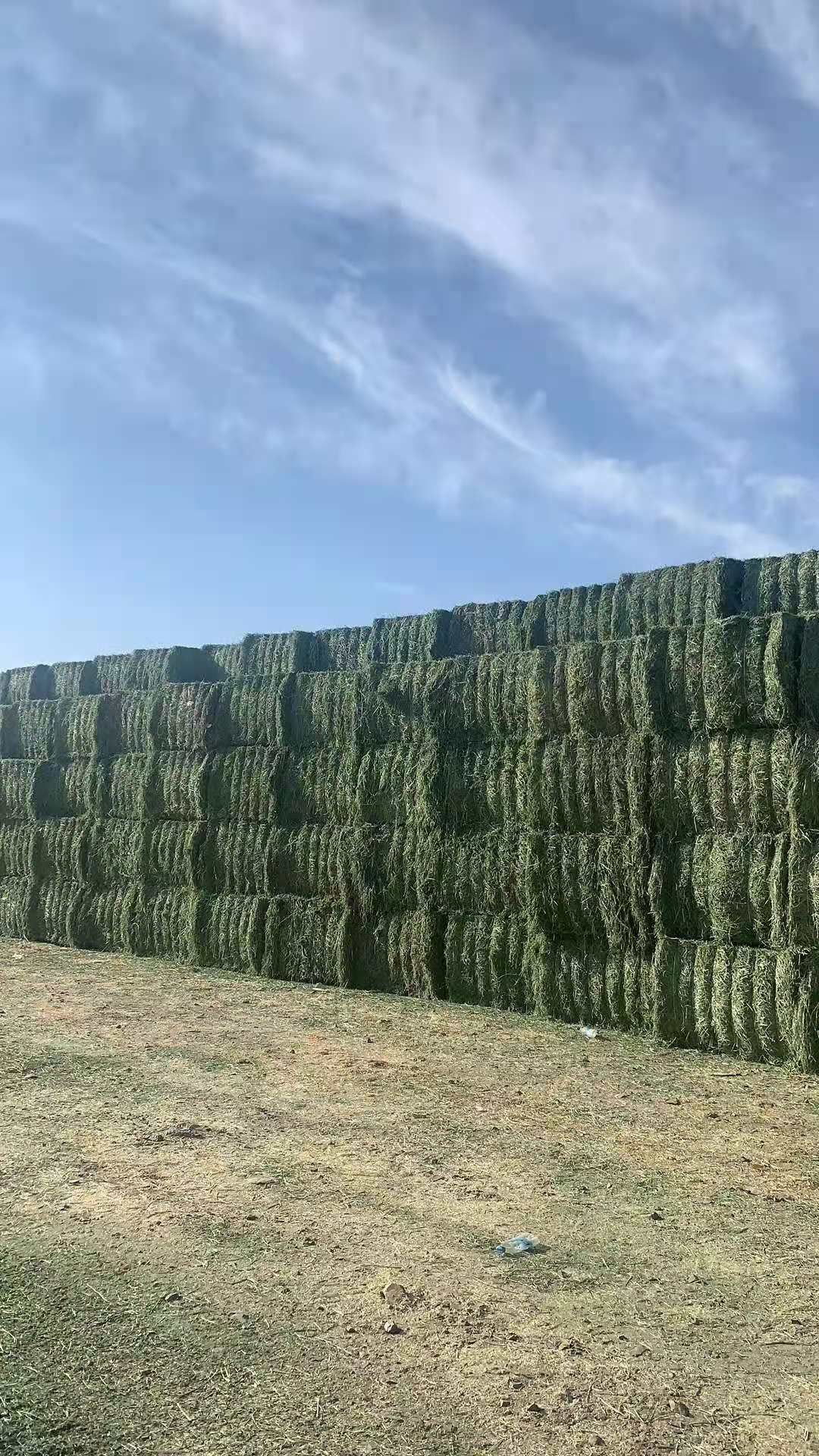 干草  宝发农牧草料，自己公司种植加工研发一体，天然无农药