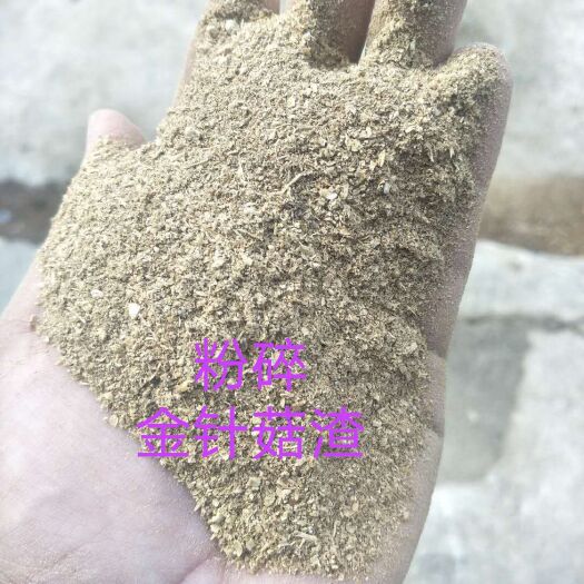 正定县豆腐渣 粉碎金针菇渣，质量保证，价格便宜，灰分低