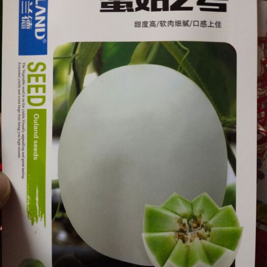 扶沟县甜瓜种子 蜜姑2号 含糖度19度以上 单果重1.8公斤左右