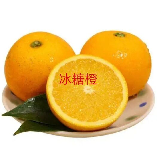 洪江市湖南省洪江市岩垅冰糖橙……心想事  ——橙