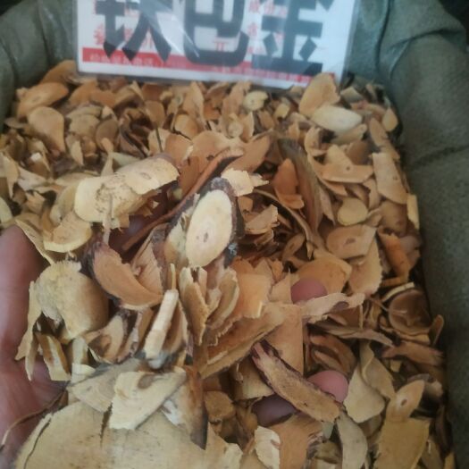 玉林 铁包金