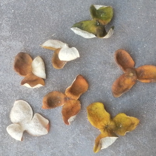 浦北县三花陈皮  新干陈皮