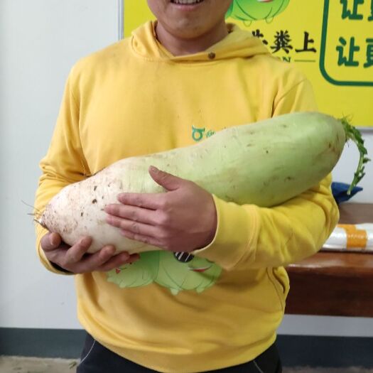 汝阳县水果萝卜，可以当水果吃的萝卜