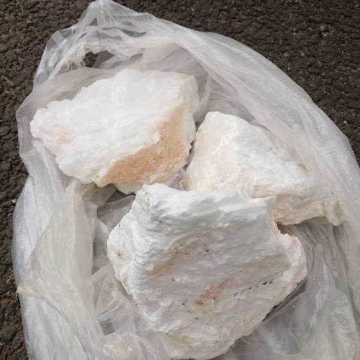 弥勒市巨桉 马芽石量大从优