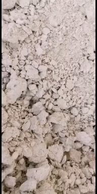 灌云县 水泥地上晒的饲料红薯渣
