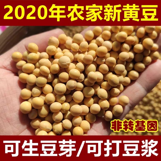 嫩江市黑龙江大豆 黑龙江自种大豆，100吨