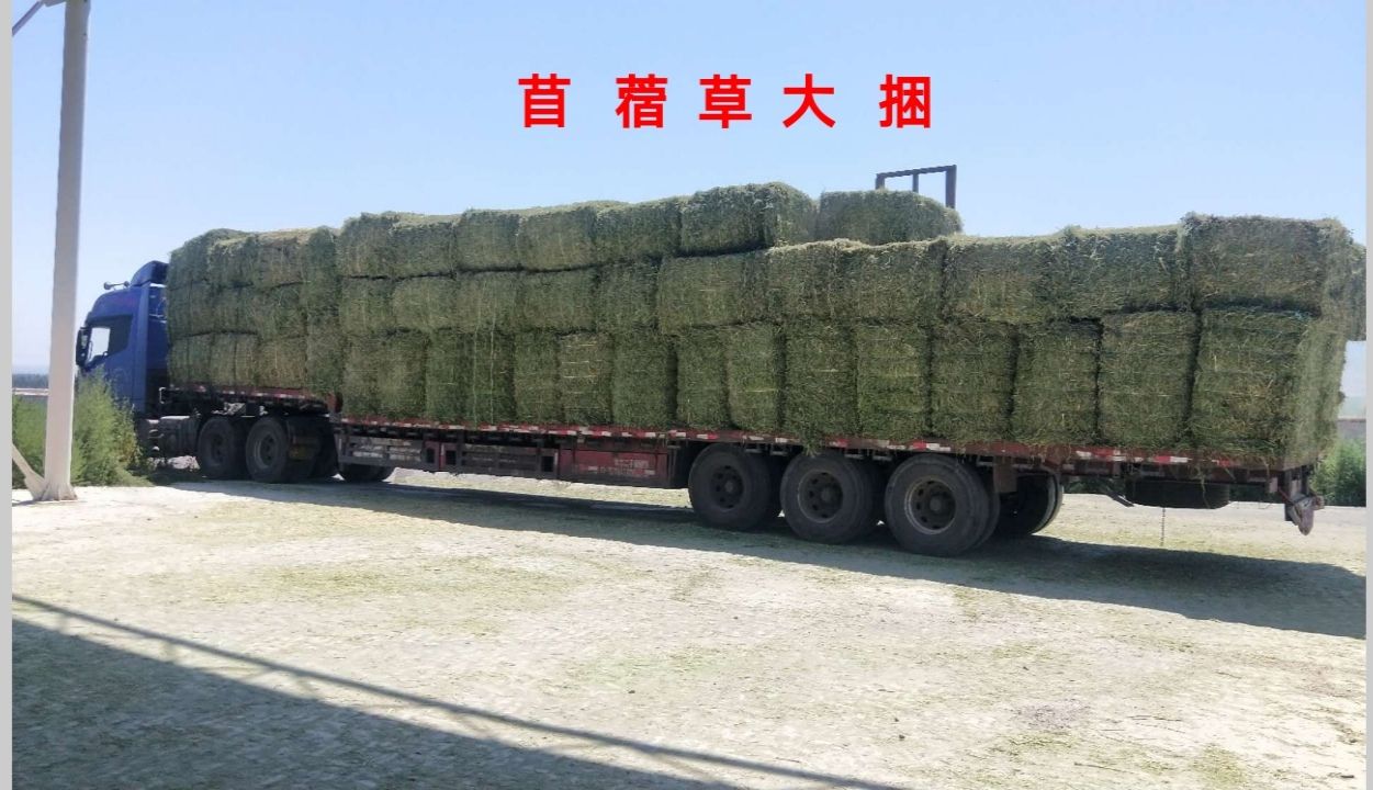 干草  宝发农牧草料，自己公司种植加工研发一体，天然无农药