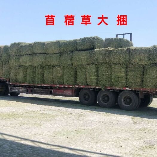 固原干草  宝发农牧草料，自己公司种植加工研发一体，天然无农药