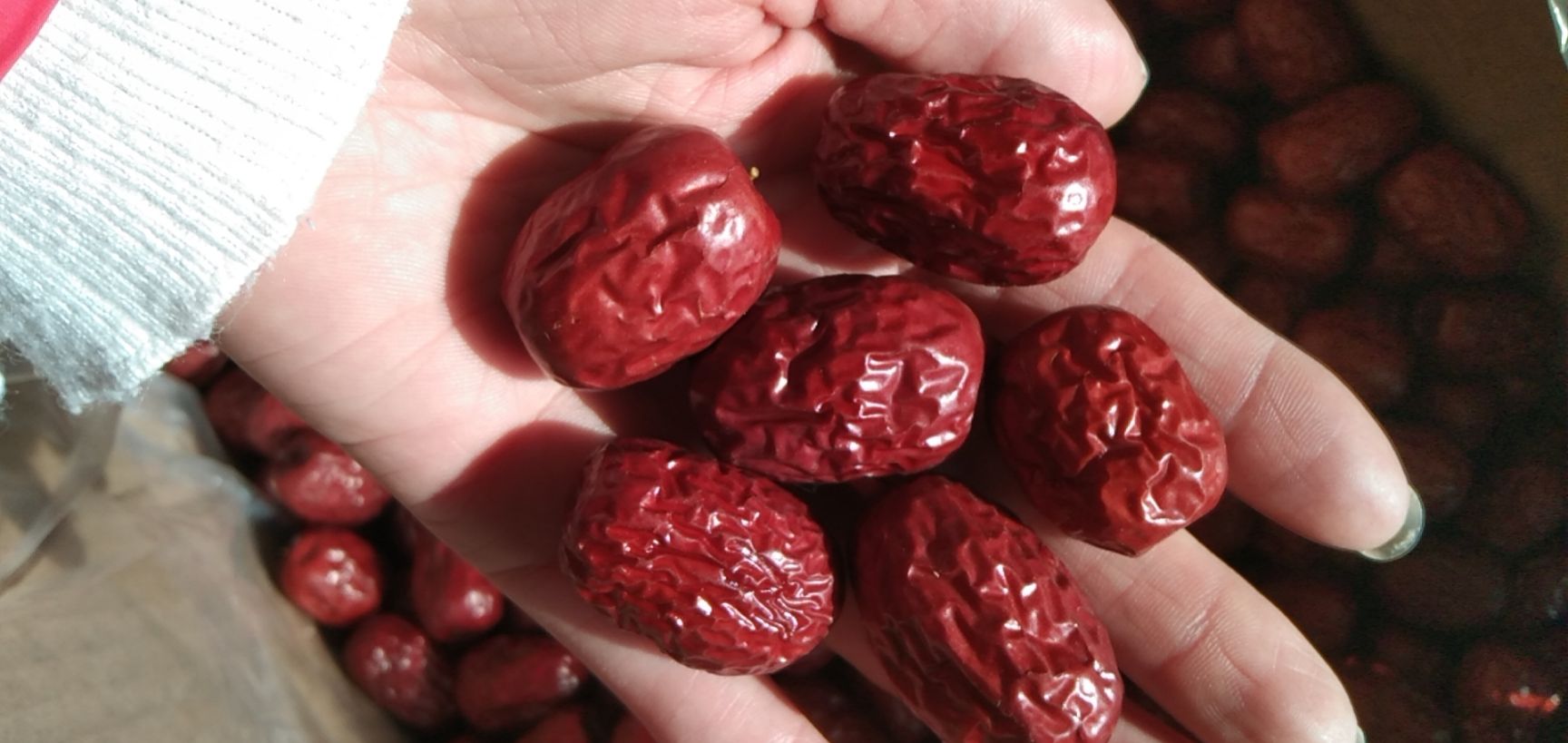 阿克苏灰枣 新疆若羌灰枣厂家一手货源量大质优价廉，新疆若羌灰枣批发