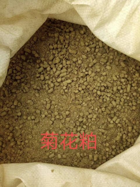正定县 菊花粕