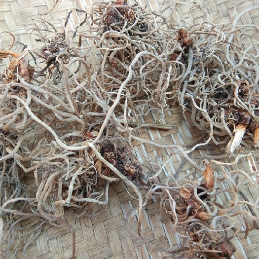 略阳县龙须草  秦岭中草药材自然生长万寿竹根竹杆无硫干货1斤包邮
