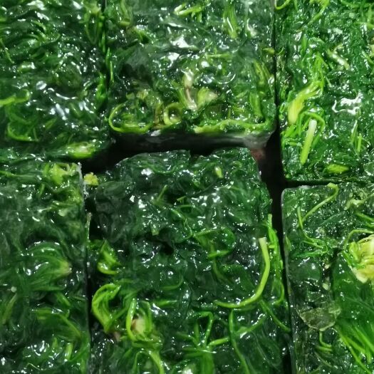 虞城县冻荠菜  速冻荠荠菜块！质量很好欢迎看货！