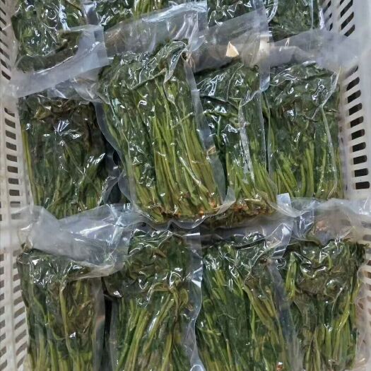 新泰市速冻香椿芽 6-12个月