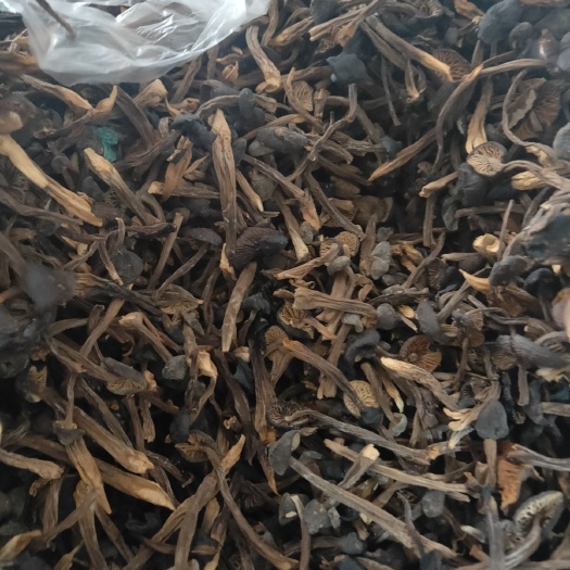 济南黑皮鸡枞菌干品