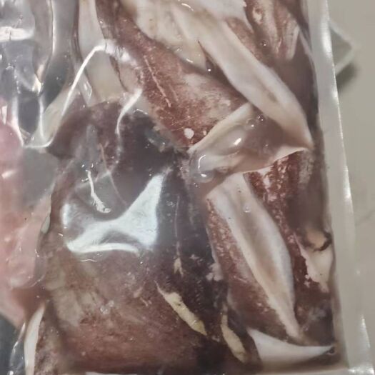 青岛生鲜鱿鱼