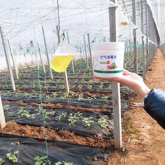 寿光市农用消毒产品  空气消毒片，主治灰霉病，白粉病，