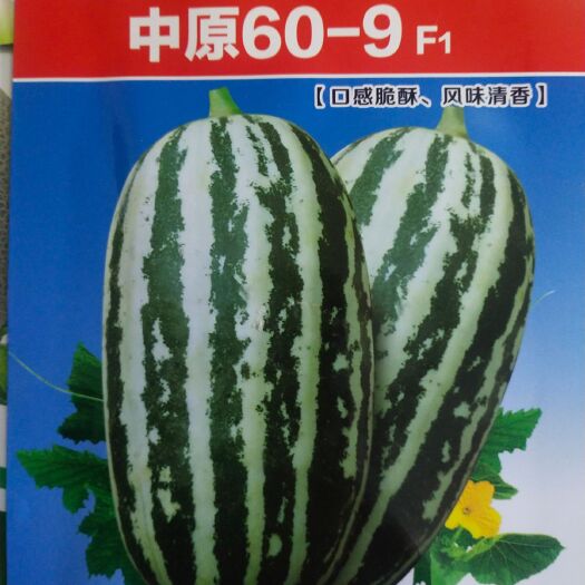 扶沟县甜瓜种子 薄皮甜瓜品种  早中熟，肉绿色，适应性广